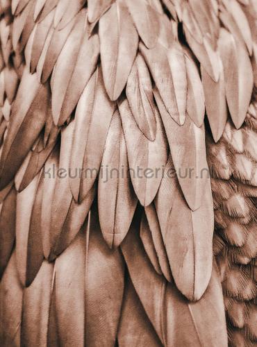 Feathers 1 fotobehang dd119841 Modern - Abstract Livingwalls