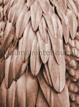 Feathers 1 papier murales Livingwalls ARTist dd119841