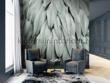 Feathers 2 fottobehaang Livingwalls ARTist dd119845