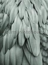 Feathers 2 fotomurais Livingwalls ARTist dd119845