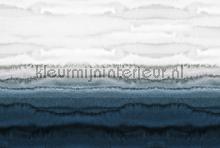 Within the tides 2 fotomurais Livingwalls ARTist dd119861