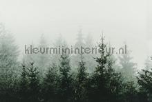 Mountain forest fotobehang dd119873 Modern - Abstract Livingwalls