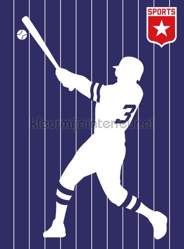 Baseball papier murales dd120153 sport Livingwalls