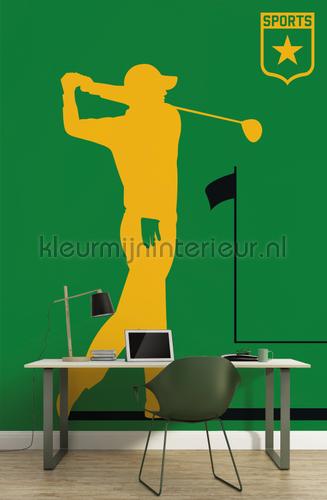 Golfplayer papier murales dd120157 sport Livingwalls