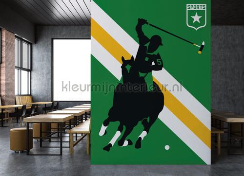 Horse polo fotomurais dd120161 esporte Livingwalls