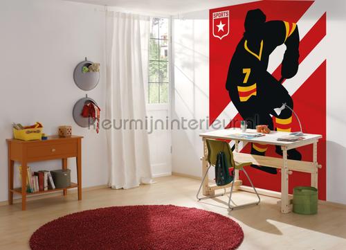 Ice hockey papier murales dd120165 sport Livingwalls