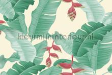 Heliconia 1 fototapet Livingwalls ARTist dd120205