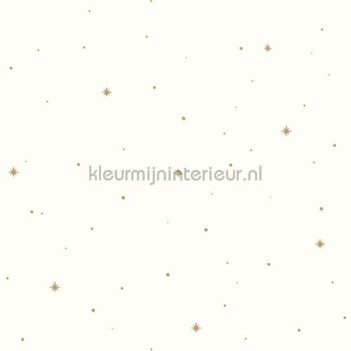 Rever camel wallcovering ADM103472000 outer space Caselio