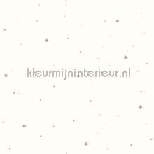 Rever camel wallcovering Caselio urban 