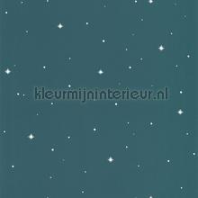 Rever bleu nuit phosphorescent wallcovering Caselio urban 
