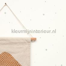 Rever menthe wallcovering Caselio urban 