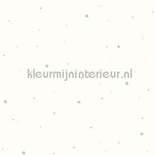 Rever menthe wallcovering Caselio urban 