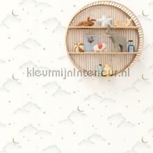 Se evader menthe wallcovering Caselio urban 