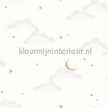 Se evader menthe wallcovering Caselio urban 