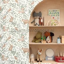 Se faufiler menthe wallcovering ADM103547023 Wallpaper room set photo's Caselio