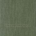 Shinok vert fume wallcovering 73816406 fantasy Styles