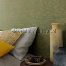 Malacca cactus papier peint Casamance Aventura 74642038