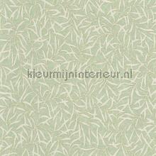 Bambu vert sauge tapeten Casadeco Bali BALI88177301