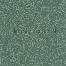 Bambu vert canopee tapeten Casadeco Bali BALI88177926