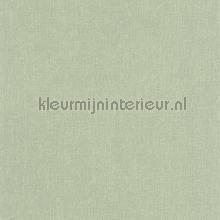 Java vert sauge tapeten Casadeco Bali BALI88197249