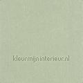 Java vert sauge BALI88151925 motieven