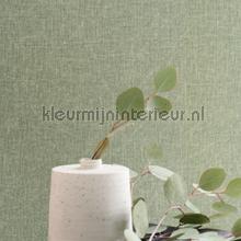 Java vert kaki tapeten Casadeco Bali BALI88197508