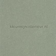 Java vert kaki tapeten Casadeco Bali BALI88197508