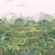 Rizieres vert canopee 200x250 fotomurales Casadeco Bali BALI88207205