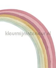 Regenboog boog fottobehaang Rasch tiener 