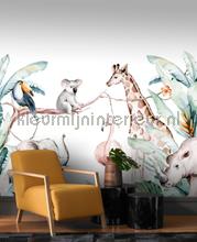 Cute jungle papier murales Rasch Voitures Transport 