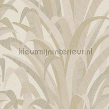 128257 wallcovering Hookedonwalls Vintage- Old wallpaper 