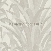 128258 wallcovering Hookedonwalls Vintage- Old wallpaper 