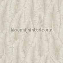128267 wallcovering Hookedonwalls Vintage- Old wallpaper 