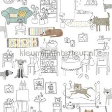 Pets jade papel de parede Zoom urbana 