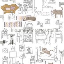 Pets amber papel de parede Zoom urbana 