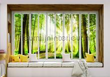 Forest seen through window fotomurales Kleurmijninterieur Todas-las-imgenes