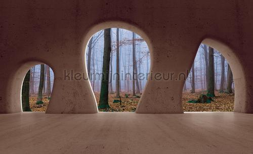 View on the forest from cave fototapeten Bijzonder fotobehang Kleurmijninterieur