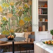 The botanist fotomurais Omexco todas as imagens 