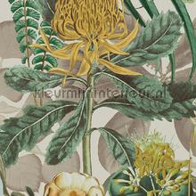 The botanist fotomurais Omexco todas as imagens 
