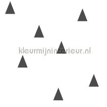 driehoekjes behang wit zwart behaang Esta home Black and White 155-138942