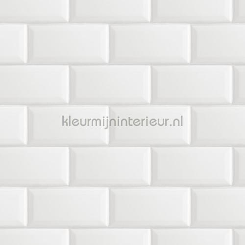  wallcovering 155-139120 tiles Esta home