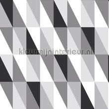 Abstracte driehoeken wallcovering Esta home black white 