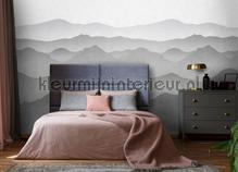 photomural mountains