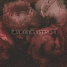 Grote rozen behang Kleurmijninterieur romantisch 