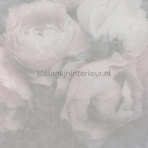 Grote rozen papier peint kmi306 romantique Kleurmijninterieur