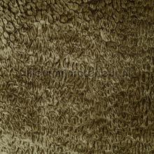 Bobcat 43 wallcovering DWC wood veneer 