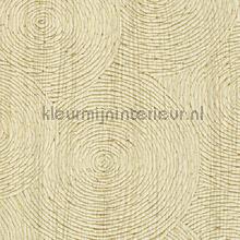 Volute entre emotion et raison behaang Elitis tiggles 