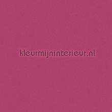 106355 tapeten Kleurmijninterieur alle-bilder