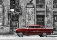 Red oldtimer in the city fotomurales Kleurmijninterieur selva 