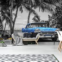 Bleu cabriolet op palmbeach papier murales Voitures - Transport Kleurmijninterieur